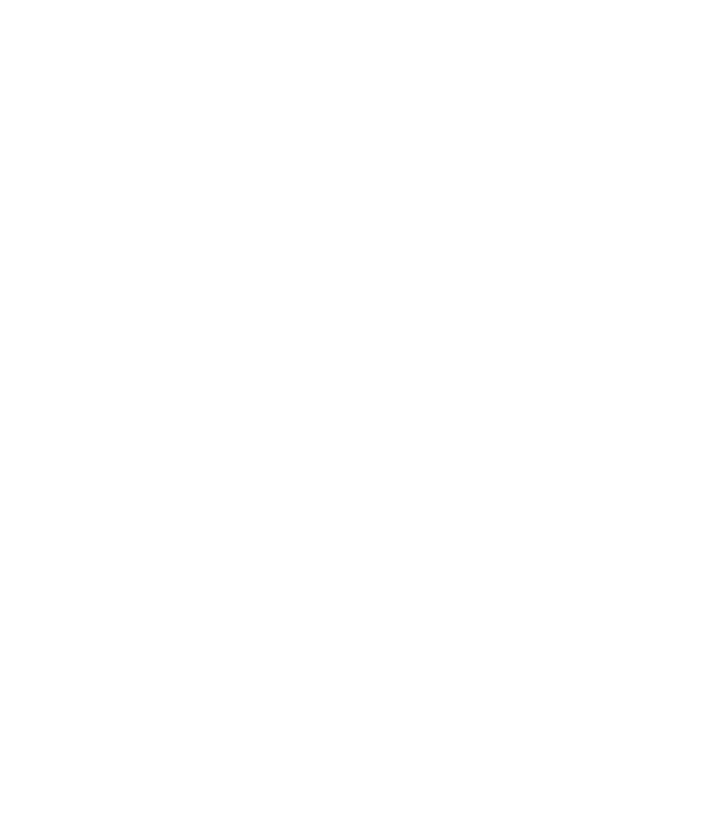 SODIC New Zayed