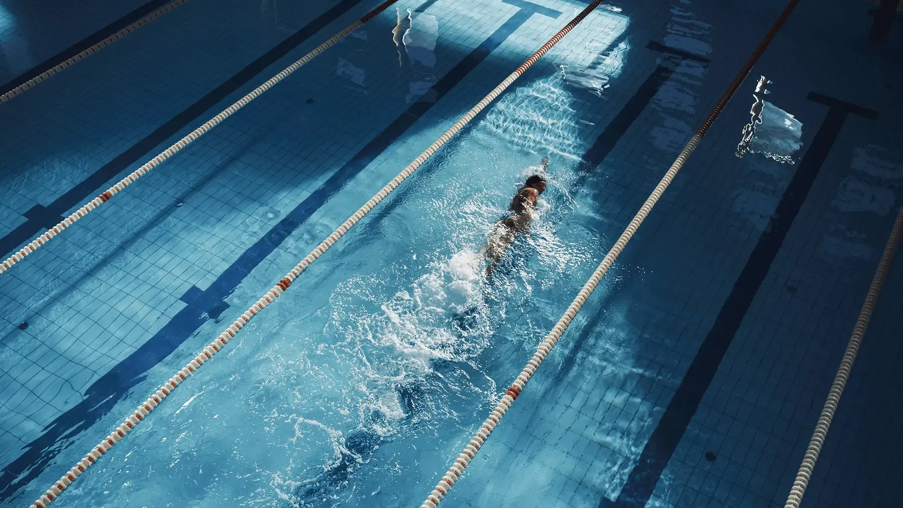 <h2>Shaping Future Champions</h2>