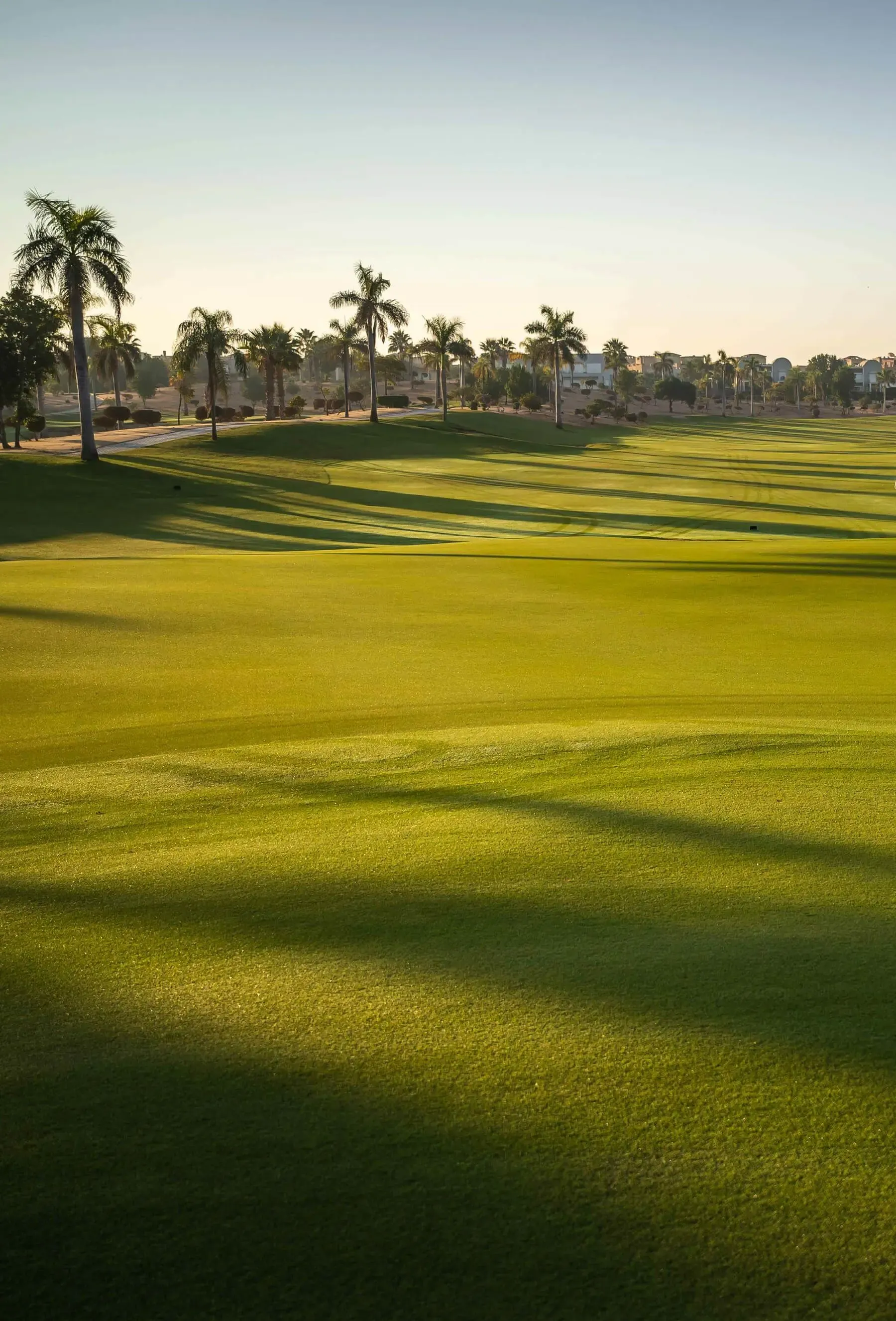 <h2>Empowering Every&nbsp;<br>Generation&nbsp;</h2>